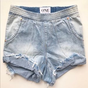One Teaspoon Hunters Short